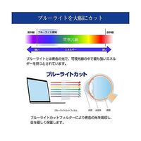 のぞき見防止フィルター ASUS Chromebook CX14 14インチ private-nao-14-k0001680803 1枚（直送品）