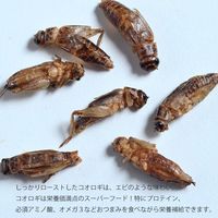 MNH 未来コオロギオツマミ ピザ mnh-6-5 1セット(5袋入)（直送品）