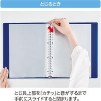 リヒトラブ 交換式クリヤーブック<soeru> A4S 30穴 15ポケット フロストクリヤー N8501-1 1セット(2冊)