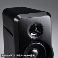 サンワサプライ マルチメディアスピーカー MM-SPL6BKN 1個