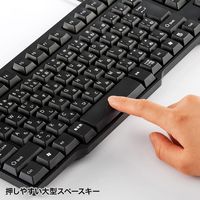 サンワサプライ USBキーボード SKB-L1UBKN 1個（直送品）