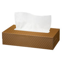 ティッシュペーパー 200組 （5箱入） オリジナルティッシュ モカ 5カラー 1パック（5箱入） アスクル  オリジナル（わけあり品）