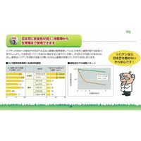 石原バイオサイエンス 石原バイオ シバゲンDF 100g 2056903 1袋（直送品）