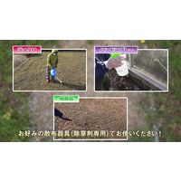 住友化学園芸 草退治メガロングFL 250ml 2056937 1本（直送品）