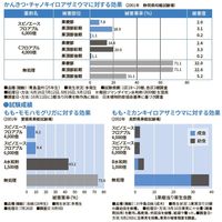 ダウ・アグロサイエンス日本 ダウケミカル スピノエースフロアブル250ml 2057037 1個（直送品）