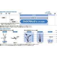 ダウ・アグロサイエンス日本 ダウケミカル ワイドアタックD1キロ粒剤 1kg 2057049 1袋（直送品）