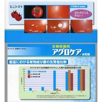 ニッソーグリーン アグロケア水和 100g 2057128 1袋（直送品）