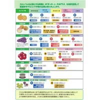 生科研 メリット黄 20kg 2057151 1箱（直送品）