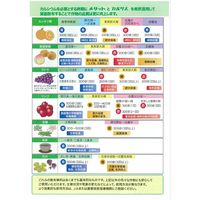 生科研 メリット黄 6kg 2057152 1個（直送品）