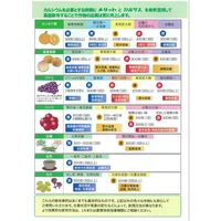 生科研 メリット青 20kg 2057154 1箱（直送品）