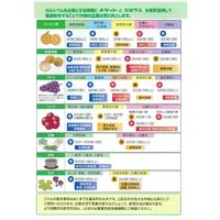 生科研 メリット赤 20kg 2057157 1箱（直送品）