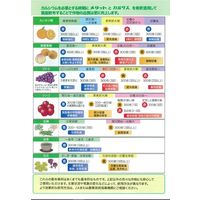 生科研 新チャンス液 20kg 2057161 1箱（直送品）