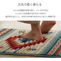 イケヒコ ピオス 玄関マット 600×900mm ブルー 1311420041801 1枚（直送品）