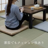 イケヒコ・コーポレーション 錦 固綿 BE 55×59cm 5P 1240870000000 1セット(5枚入)