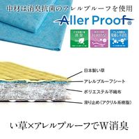 イケヒコ い草マットレスＰＲＯ 1000×2100mm 1360140011201 1枚（直送品）