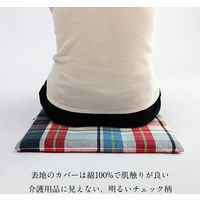 イケヒコ 中身い草のシート 400×400mm 1360230010101 1枚（直送品）