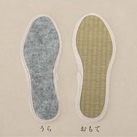 イケヒコ・コーポレーション 足さらっとインソールPro 23cm 1360100010301 1枚（直送品）