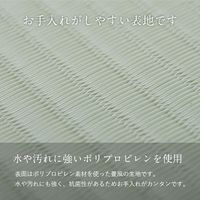 イケヒコ 浴室畳マット 600×800mm 1360170010103 1枚（直送品）