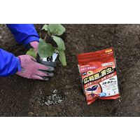 エムシー緑化 スターガード粒剤 800g 4571367110016 1個（直送品）