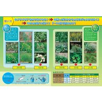 エムシー緑化 クサクリア液剤 1L 4571367110092 1個