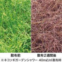 レインボー薬品 ネコソギガーデンシャワー 1000ml 4903471100339 1個（直送品）