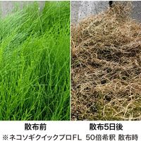 レインボー薬品 ネコソギクイックプロFL 300ml 4903471100698 1個（直送品）