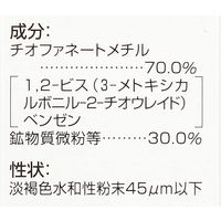 ニッソーグリーン トップジンM水和剤 1g×10 4961010658116 1個（直送品）