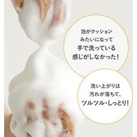 花王 フィエスタ洗顔・手洗いフォーム 2L 508652 1箱(3個入)