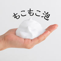 パエンナ ハトムギの洗顔料 200g イヴ