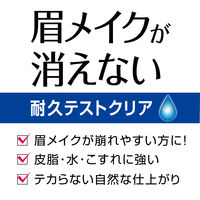 ブロウラッシュEXブロウコーティングR 5mL スタイリングライフ・ホールディングス 速乾 ウォータープルーフ BCL カンパニー