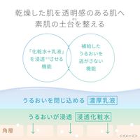 ピュアナチュラル エッセンスローションUV 210mL pdc