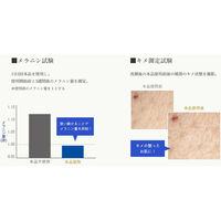 雪澄 薬用美白水 500mL 明色化粧品