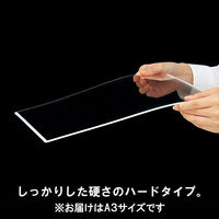 アスクル　カードケース　薄型　A3　ハードタイプ  オリジナル（わけあり品）