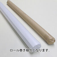 上村産業 防炎制電ビニールシート 梨地クリア 0.3mm厚×1370mm幅 pvc-na-030-1370-70 1枚（直送品）