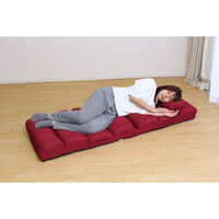 タック ふかふかリクライニング座椅子2 レッド TAN-122(RED) 1脚（直送品）
