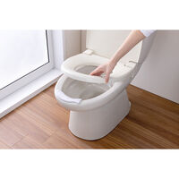 サンコー toilet キレイまもりマス 60個入 555492 1個（直送品）