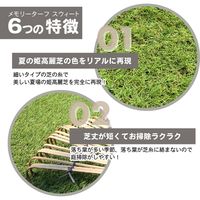 ユニオンビズ 高級人工芝　メモリーターフスウィート 20mm 32-9016 1ロール（直送品）