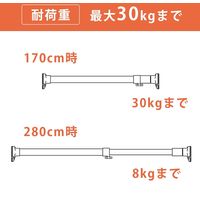 平安伸銅工業 HEIAN SHINDO 突ぱりパワフルポール マットブラック 特大 6本（直送品）