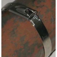 エスコ 4.6x200mm 結束バンド(SUS304/100本) EA463FM-11 1袋(100本)（直送品）