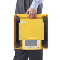 エー・アンド・デイ　業務用体重計スマートスケール　AD-6209　プリセット風袋なし　1台　（直送品）