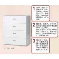 アズワン セレクトラボ ラテラル(1列4段) 750×450×1050mm LL4-7 1個 1-3368-02（直送品）