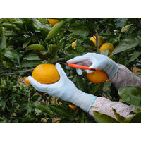 SHOWA ニトリルゴム背抜き手袋 No265ピッタリ背抜き強力ロング ブルー 3双パック Mサイズ NO265-M3P 1パック(3双)（直送品）