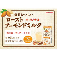 マルサンアイ 毎日おいしいローストアーモンドミルク オリジナル 200ml 1箱（24本入）
