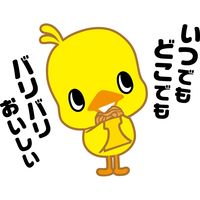 日清食品 0秒チキンラーメン 75g 1セット（10食） お菓子 スナック インスタントラーメン 袋麺