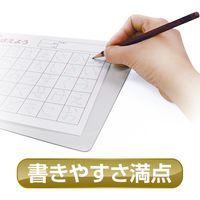 共栄プラスチック 下敷き オリオンズ 硬筆用 ソフト A4 透明 NO.1204 1枚