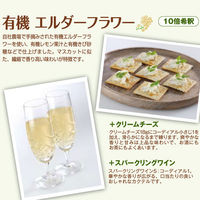 エルダーフラワーシロップ 有機コーディアルエルダーフラワー　500ml ユウキ食品　ハーブ飲料