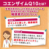 DHC コエンザイムQ10 ダイレクト（20日分） 1セット（1袋（40粒）×3） 還元型 機能性表示食品 ディーエイチシー サプリメント