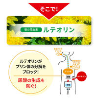 尿酸ヘルプ 約30日分(60粒入り)【小林製薬の機能性表示食品】 1セット（2袋）