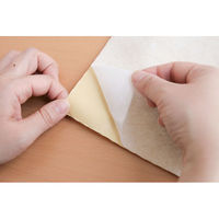 オルヌマン アウルスママ シールタイプ 接着芯 ノン・アイロンシート 50cm×100cm 白 NS-1P 1セット(5本セット)（直送品）