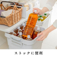 キリンビバレッジ 午後の紅茶おいしい無糖 ラベルレス 2L 1箱（9本入）